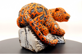 Jaguar naranja  Raúl