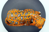 Jaguar naranja  Raúl